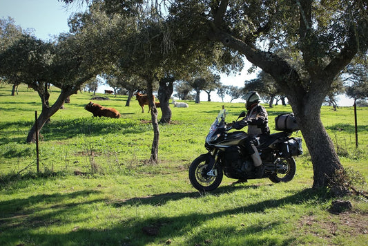 ¿Cómo evitar el golpe de calor en moto este verano?
